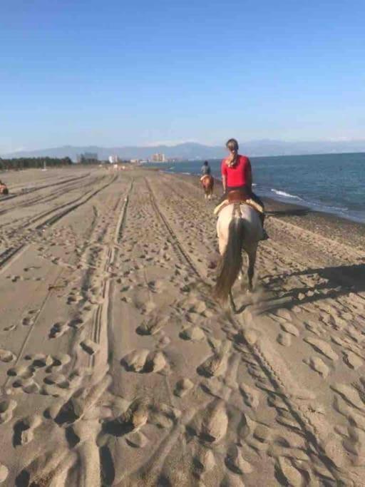 Beautiful Spanish Apartment In Torremolinos Luaran gambar